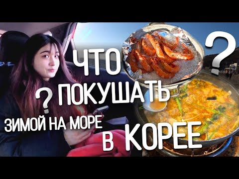 Видео: Жаренные ракушки или что покушать зимой на море в Корее/KOREA VLOG