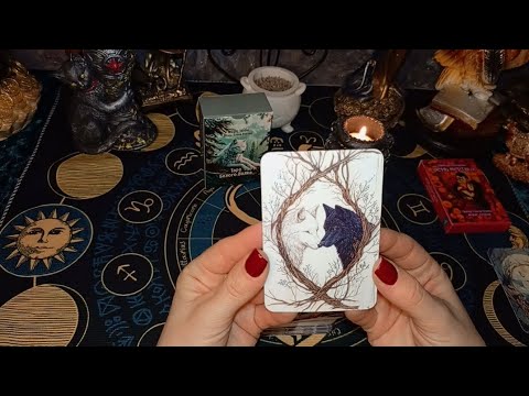 Видео: Таро Белого Волка