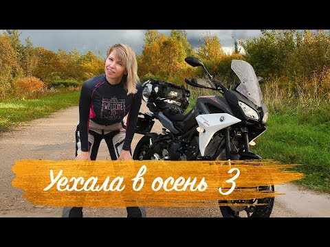 Видео: Одиночное мотопутешествие на Tracer 900 | Уехала в осень #3