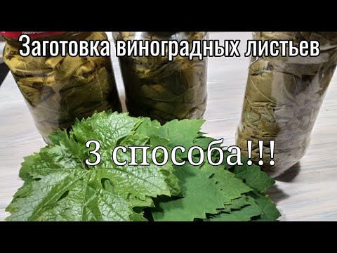 Видео: Виноградные листья 3 простых способа заготовки на зиму .
