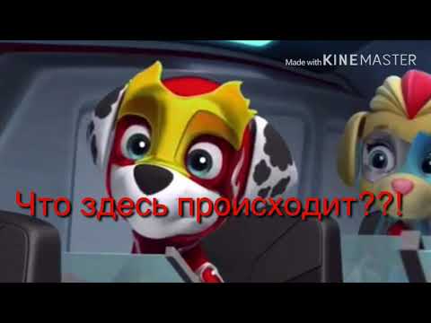 Видео: Комикс: Новый щенок часть 5