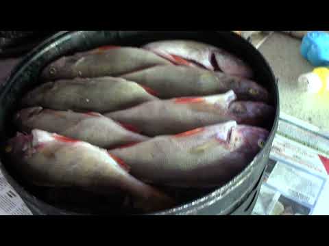 Видео: Горячее копчение Седановского окуня. Коптильня из медицинской биксы.