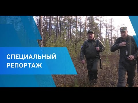 Видео: Специальный репортаж - "Охотнадзор", 21 октября 2022 г.