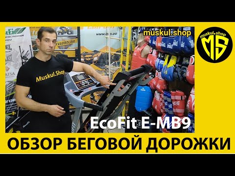 Видео: Обзор беговой дорожки для дома Экофит EcoFit E-MB9