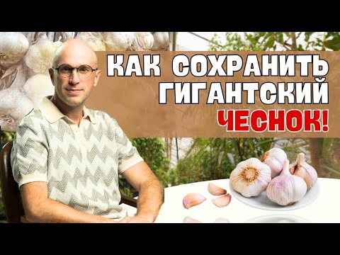 Видео: КАК СОХРАНИТЬ РЕКОРДНЫЙ УРОЖАЙ ЧЕСНОКА!