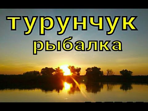 Видео: Рыбалка на Турунчуке   Беляевка