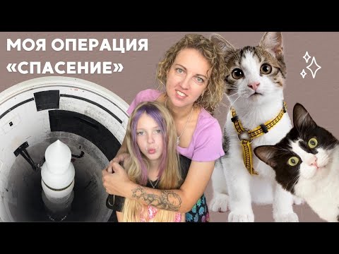 Видео: Сирены на Севере или как я почти стала многодетной