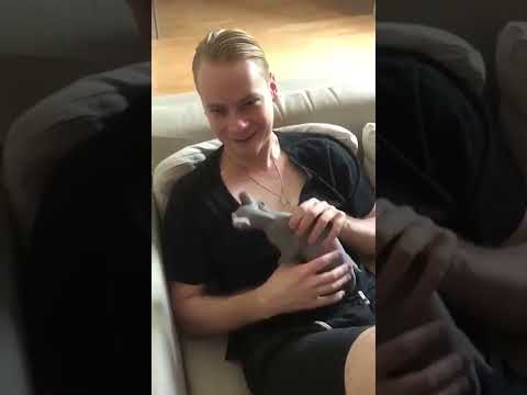Видео: Shaman с барси