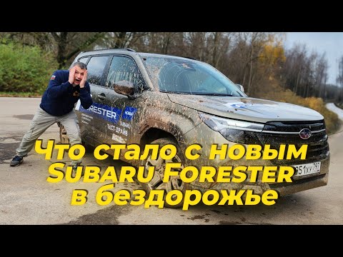 Видео: Что стало с новым Subaru Forester в бездорожье