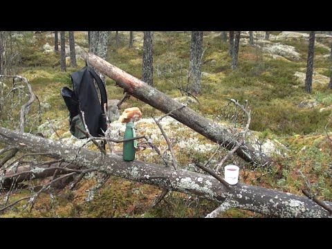 Видео: Лігво виявилося печерою.