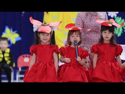 Видео: Группа ЗВЁЗДОЧКИ