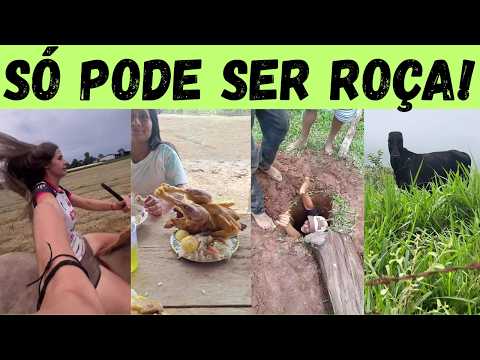 Видео: Роса сумасшедший: повстанческий бичо и люди без сужден...