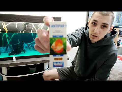 Видео: синька в аквариум, лечение рыб.