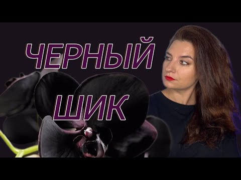 Видео: РОСКОШНЫЙ аромат от Tom Ford Black Orchid