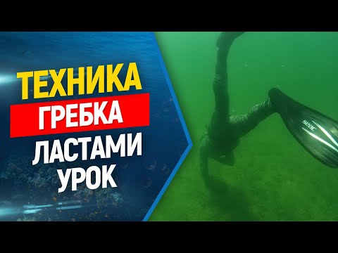 Видео: 🏊Техника гребка ластами во фридайвинге и подводной охоте.