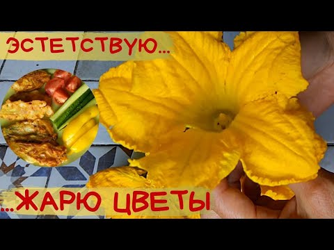 Видео: Жарю ЦВЕТЫ тыквы в кляре на сковороде / Просто вкусно / Простые и вкусные рецепты на сковороде