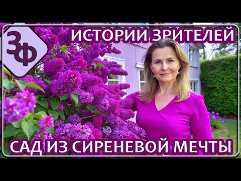 Видео: Ретроспектива 37-23 Сад из Сиреневой Мечты | Истории Наших Зрителей