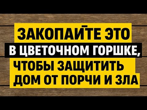 Видео: Закопайте это в цветочном горшке - и зло не переступит ваш порог, а деньги вернутся домой