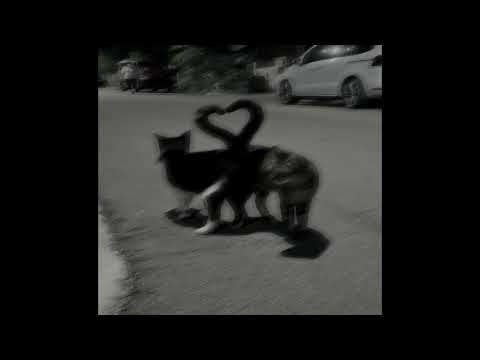 Видео: рандомный вайбовый плейлист /// tik tok speed up