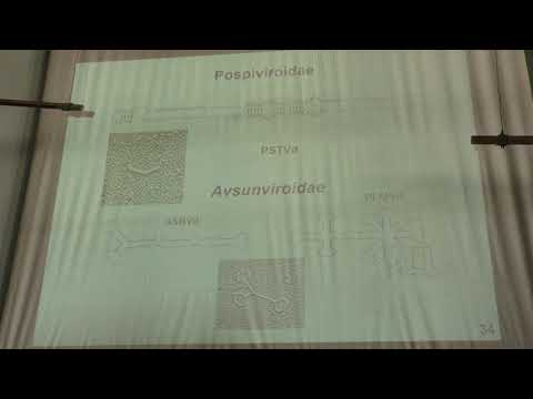 Видео: Карпова О. В. - Вирусология - 10. Субвирусные инфекционные агенты
