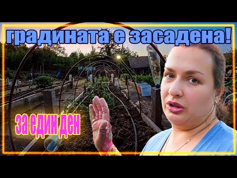Видео: ЖИВОТ НА СЕЛО: Засадих зеленчуковата градина САМА за ЕДИН ден!
