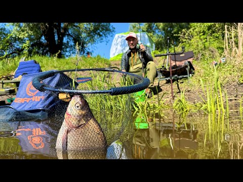 Видео: Сітками ЛОВЛЯТЬ МЕНШЕ ніж ми!!! КРАЩА НОЧОВКА!!!
