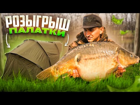 Видео: Не совершайте наших ошибок на рыбалке. Как ловить карпа ранней весной. ТОП 3 ОШИБКИ