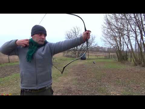 Видео: Луки для стрельбы с кольцом. Длинный лук из вяза с сухожилиями