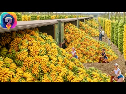 Видео: Гонка за урожай 2025 — Миллионы тонн урожая перевозятся с помощью НОВЫХ сельскохозяйственных машин!