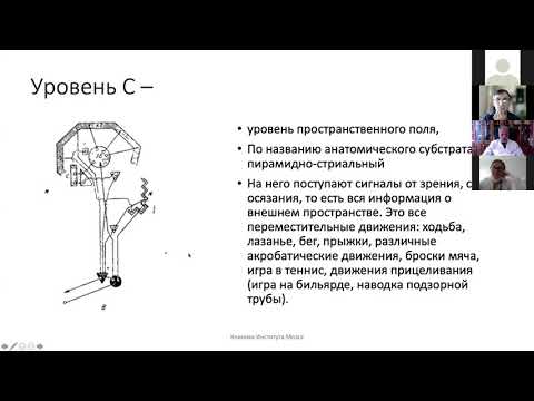 Видео: Фундаментальные основы реабилитации 2