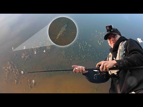 Видео: нашёл ОГРОМНУЮ щуку в Шотландии!