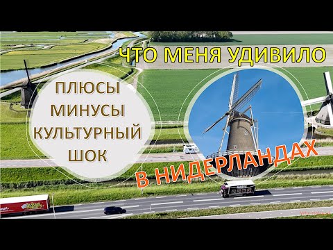 Видео: Что меня удивило в Нидерландах.Откровенно о минусах, плюсах иммиграции в Нидерланды.Сложности в быту