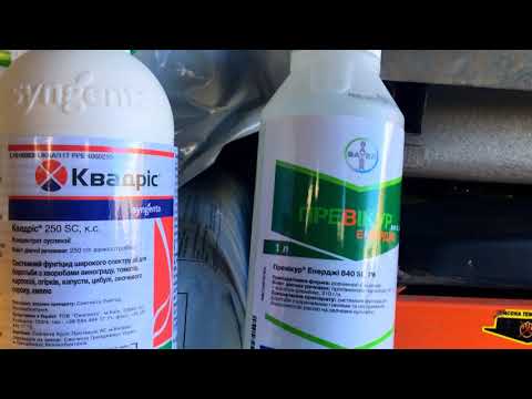 Видео: Какие фунгициды нужны для борьбы с болезнями арбузов и овощей. Мой опыт.