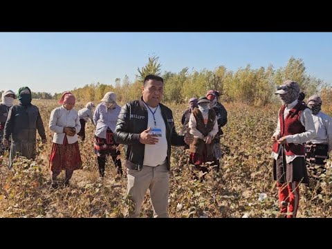 Видео: ТЕРИМЧИЛАР НЕГА "БЕРУНИЙ КЛАСТЕР"ДАН НОРОЗИ? ТЕРИМ ПУЛЛАРИНИ БЕРМАЙ ТЕРИМЧИЛАРНИ АЛДАБ ЮРИБДИМИ?