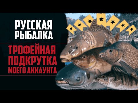 Видео: Новый Путь в РР4 #6 🔴 Трофейная Рыбалка | Фарм на Карпе и Амуре | Сборка для Хищника на р.Белой