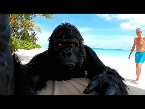 Видео: Влог бигфута Футыча Мальдивы: тусовки и тюрьма VEO3