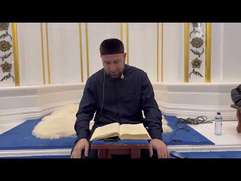 Видео: Хьехам Турпал Ахмадов  .