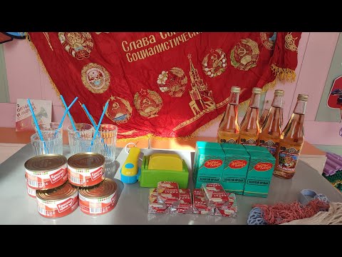 Видео: Групповое логопедическое занятие на тему СССР