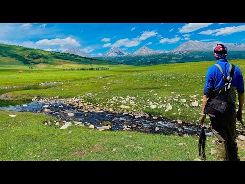 Видео: ХАРИУС КИШИТ В ЭТИХ РЕКАХ!!!  РЫБАЛКА В МОНГОЛИИ НА ОЗЕРЕ ХУБСУГУЛ