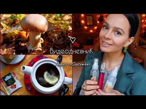 Видео: 🗓 VLOG 🍂 August/September | ВСТРЕЧАЕМ ОСЕНЬ вкусным чаем, уютным гардеробом, тёплыми ароматами | ЛЕС