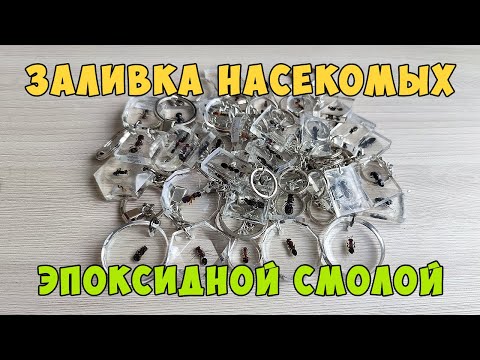 Видео: Заливаем насекомых эпоксидной смолой