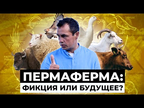 Видео: Как живет фермер-кочевник?  Чудо-ферма Ринальдо Маллямова