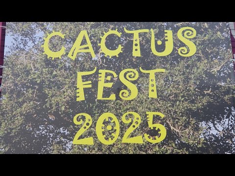 Видео: Весенний CACTUS FEST 2025🌵😁🌺🥳 #cactus #kaktus #plants #cactusflower