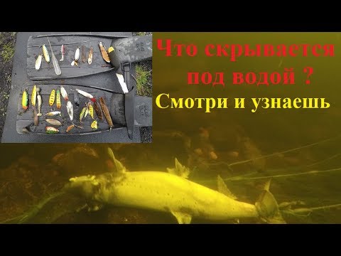 Видео: Кольский полуостров / р. Кола / Kola Peninsula / Kola river