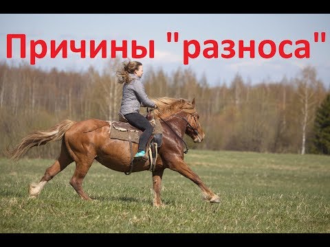 Видео: "Разнос"? Так ли это на самом деле.