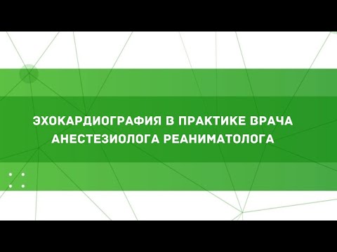 Видео: Эхокардиография в практике врача анестезиолога-реаниматолога