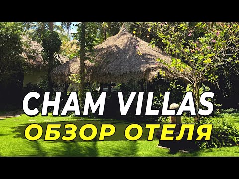 Видео: Cham Villas - Тропический оазис роскоши в Муйне #муйне2025
