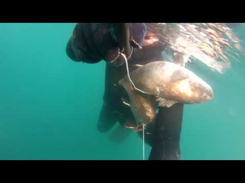 Видео: подводная охота Черное море горбыли