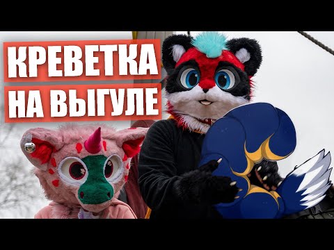 Видео: ДРАКОНЬЯ КРЕВЕТКА✅ Реакция людей на ФУРРИ