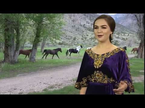 Видео: Филми САМАНДИ БОДПО Ҳар Як Човандоз Инро Бояд Бинад Ба Хотири Асп (кисми 1) 2021 БУЗКАШИ